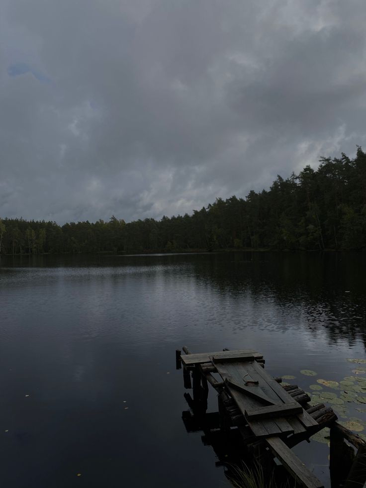 a body of water surrounded by trees under a cloudy sky