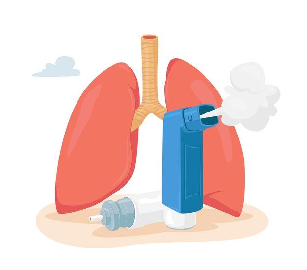 Human Lungs, Asthma Inhaler, Healthy Lungs, Chronic Obstructive Pulmonary Disease, Asthma Symptoms, Pulmonary Disease, Asthma Attacks, Respiratory Diseases, Allergy Symptoms