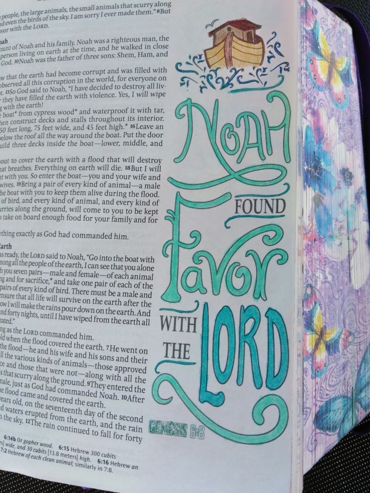 an open bible with the words noah found in blue and green lettering on it's front page