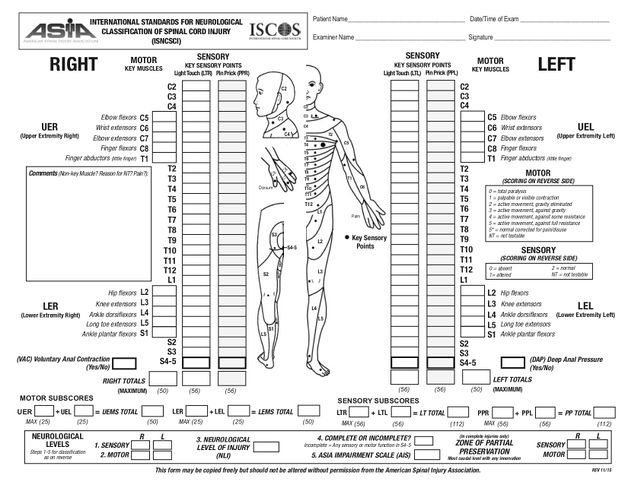 the human body is shown in this diagram