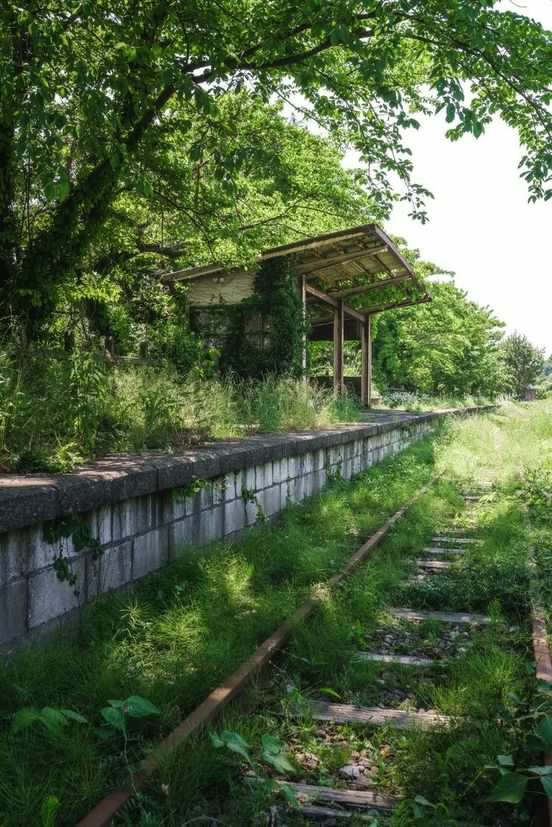 an abandoned train track in the middle of a field with trees and grass on both sides