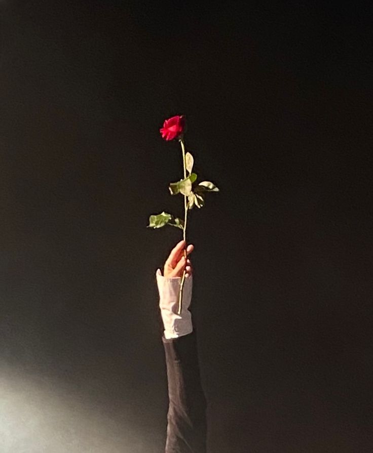 a person holding up a red rose in the air with their hand on top of it