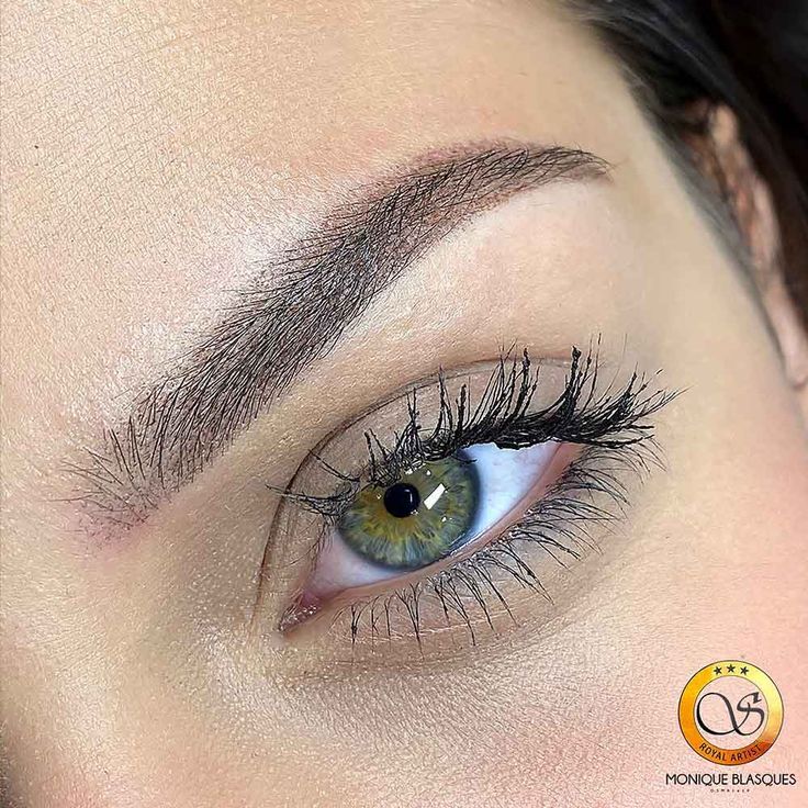 Tattoo Brows, Mircoblading Eyebrows, Ombre Eyebrows, Types Of Eyebrows, Straight Eyebrows, Permanent Makeup Eyeliner, Semi Permanent Eyebrows, Permanent Lipstick, Powder Brows