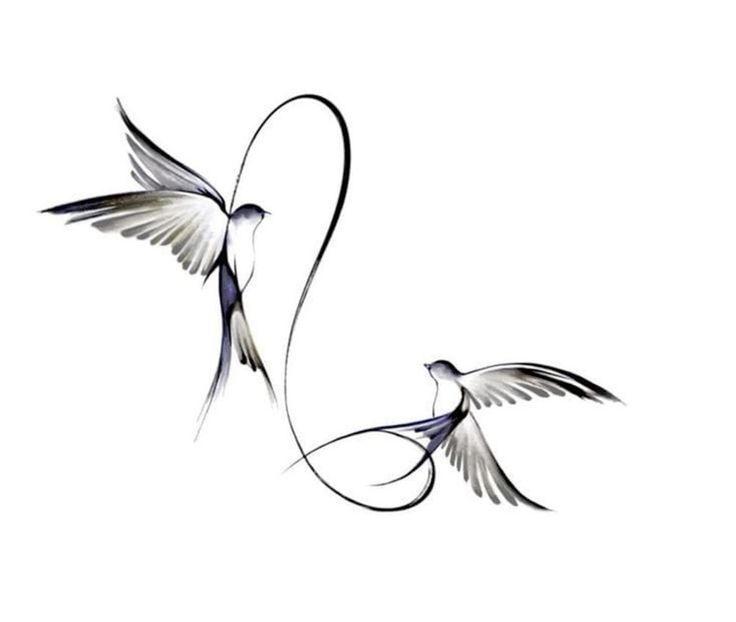 two birds flying next to each other on a white background with the word love written in it