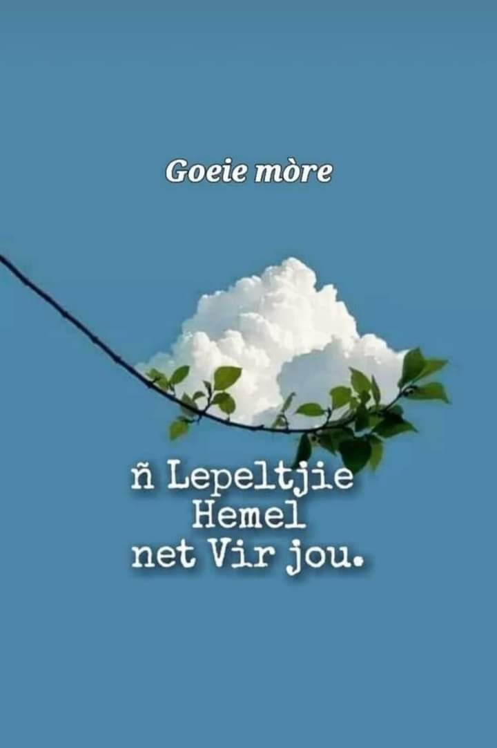 there is a blue sky with white flowers on it and the words goetie more