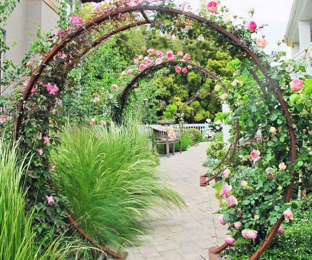 a garden with lots of flowers and greenery