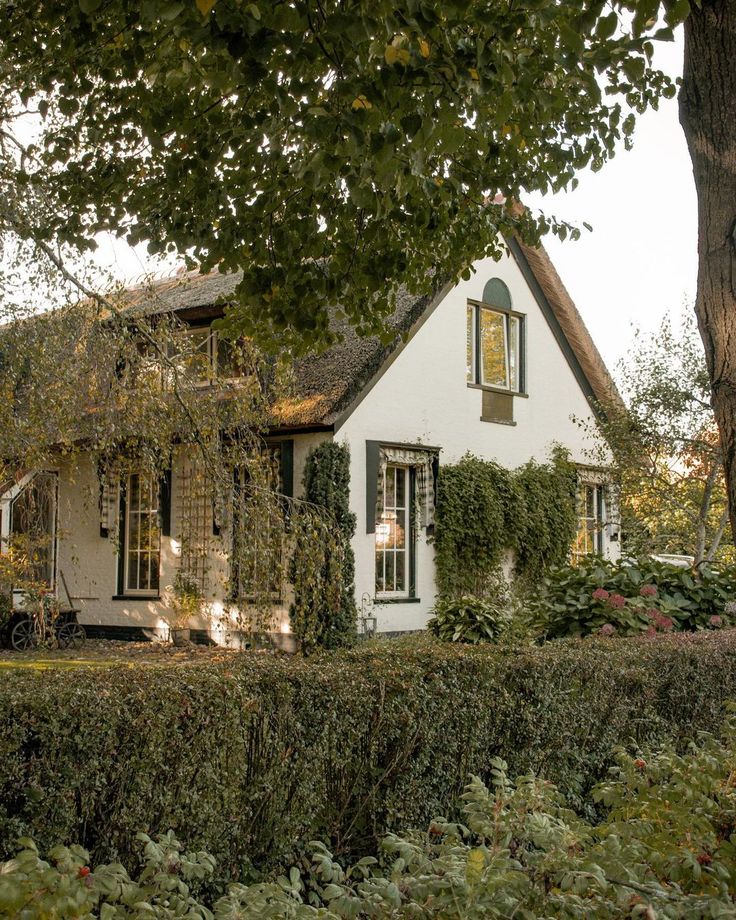 a white house surrounded by hedges and trees in front of a large leafy tree