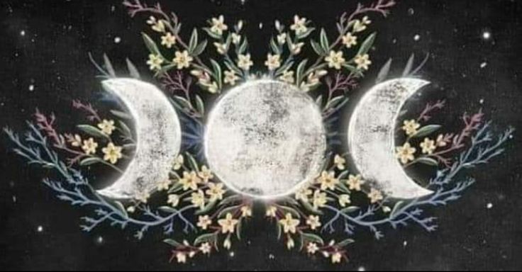 three phases of the moon surrounded by flowers