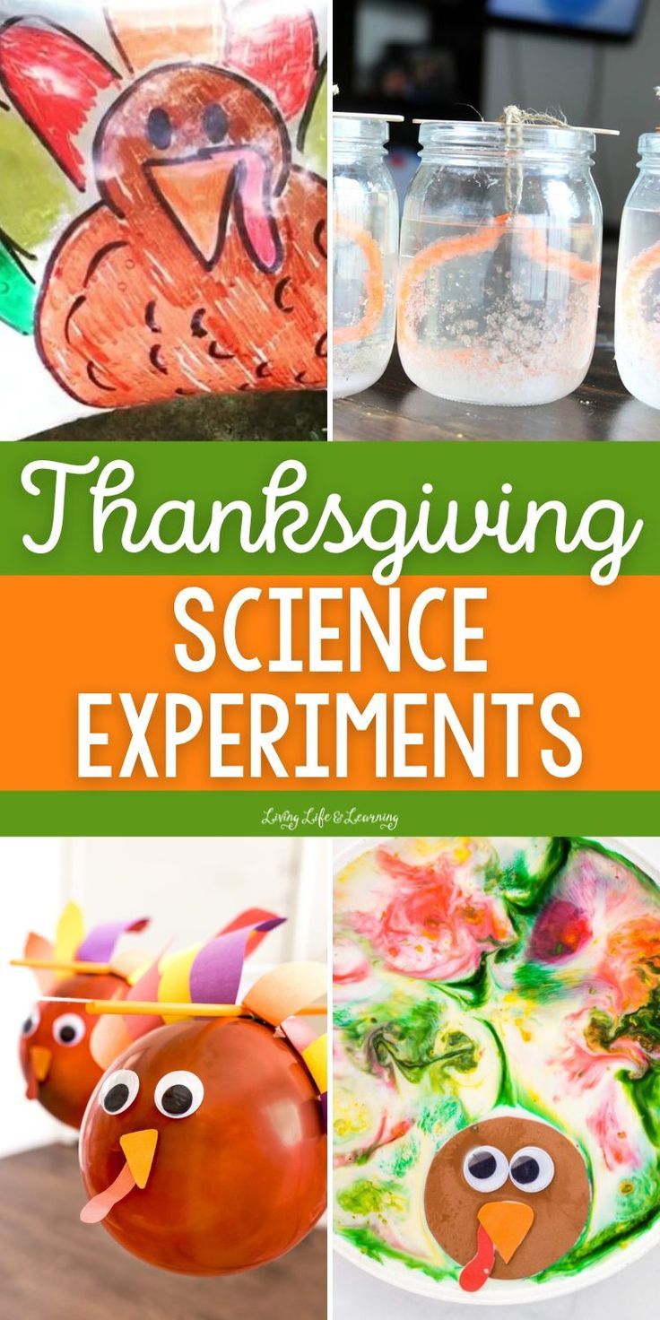 Thanksgiving Science Experiments Thanksgiving Science Experiments, Thanksgiving Science Activities, Fun Homeschool Activities, Homeschool Fall Activities, Thanksgiving Science, Milk Experiment, Science Experiments For Kids, Experiments For Kids, Thanksgiving Activities