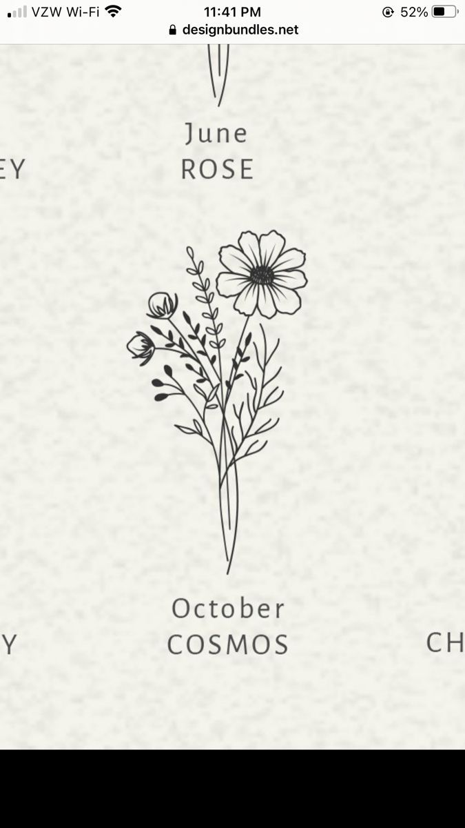 October Cosmos | tattoo ideas by  Megan Rossi Cosmo And Rose Flower Tattoo, Cosmos Bouquet Tattoo, Fineline Cosmos Flower Tattoo, October Birth Flowers Tattoo, October Flower Bouquet Tattoo, October Cosmos Tattoo, Boutique Of Flowers Tattoo, Daisy And Cosmos Tattoo, Rose And Marigold Tattoo