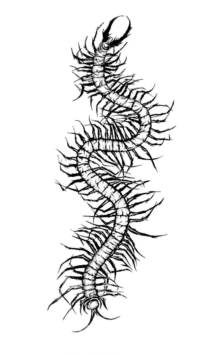 a black and white drawing of a wormel crawling on the side of a wall