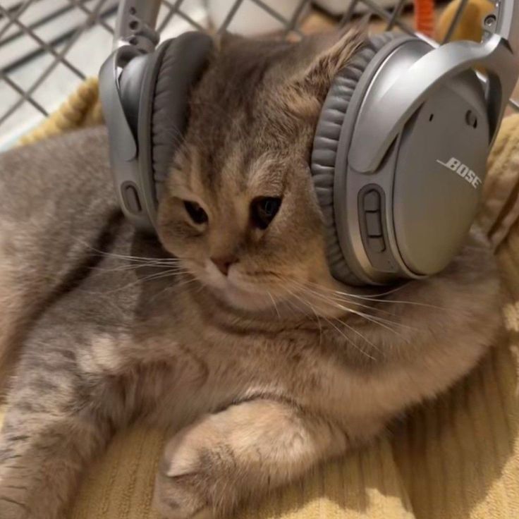 a cat laying on top of a bed with headphones around it's neck