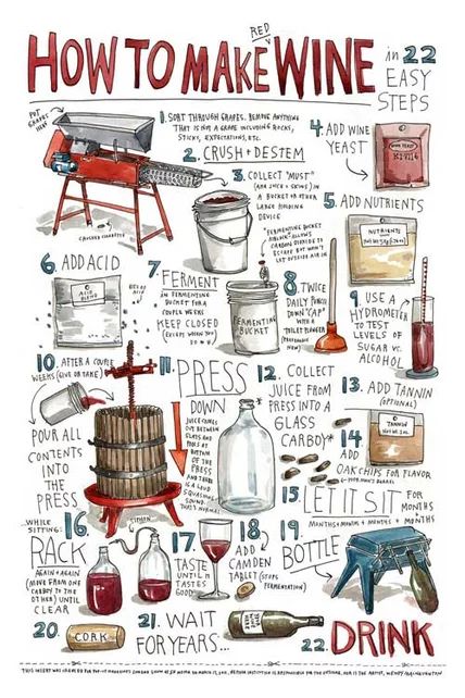 a poster with instructions on how to make wine and other things that are labeled in it