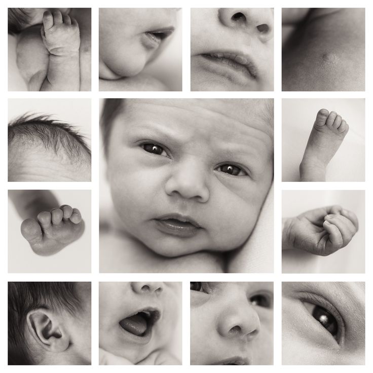 black and white photograph of baby's eyes, nose, head, hands, feet