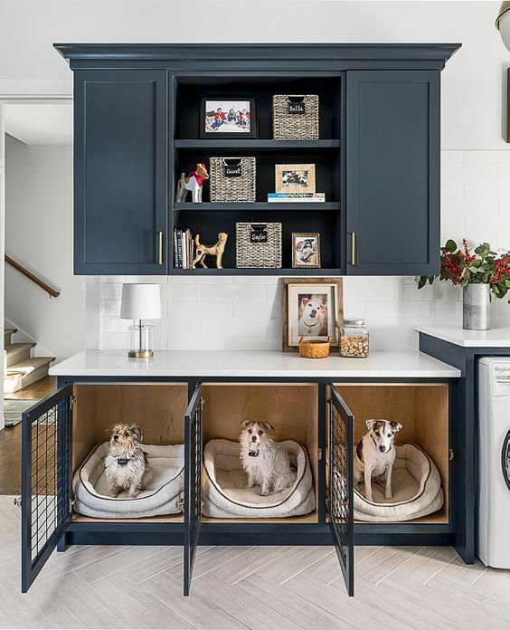 two dogs sitting in their kennels under the kitchen sink and above the washer