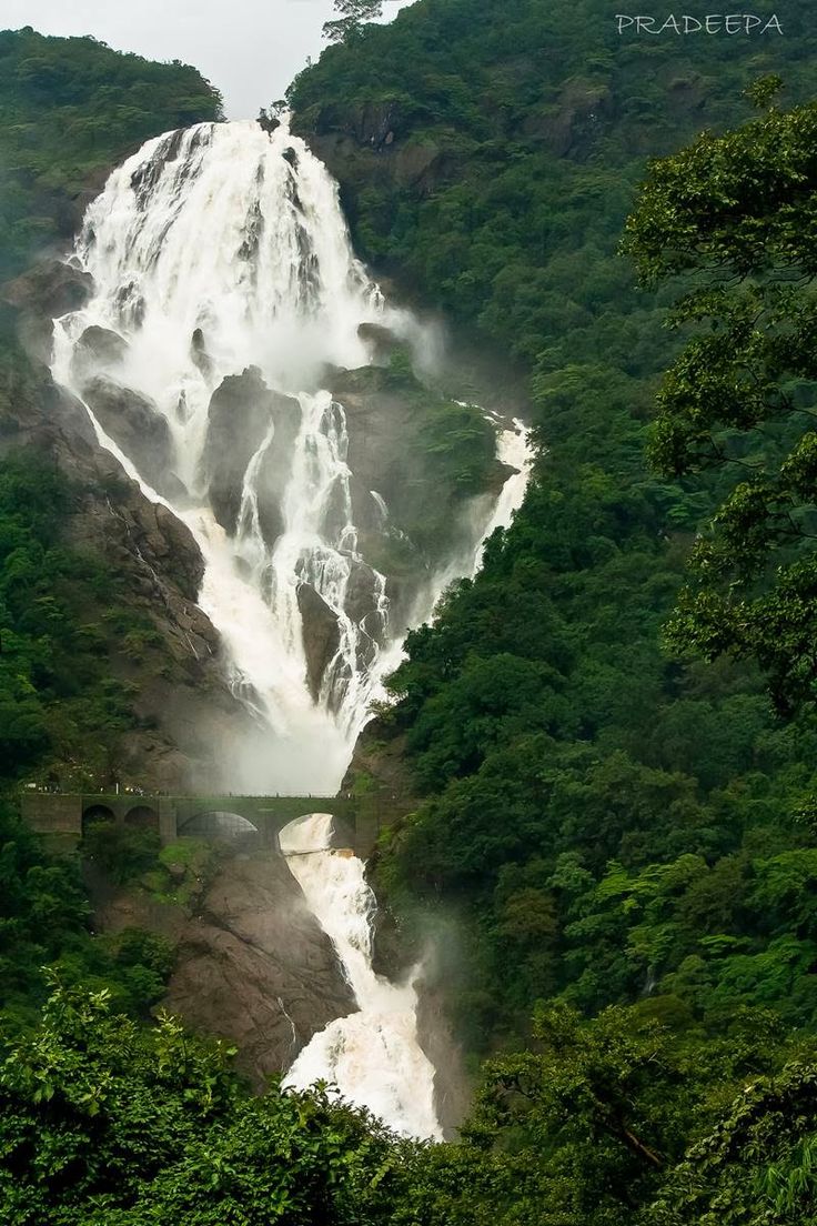 a large waterfall surrounded by lush green trees