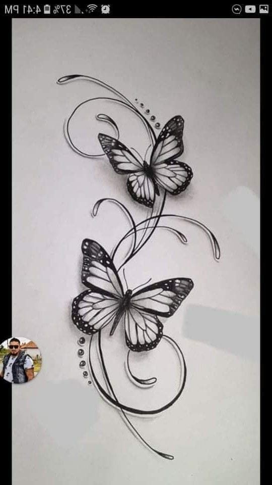 two butterflies flying in the air on top of a white sheet with a black border