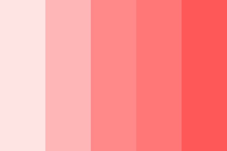 pink and red color palette with different shades