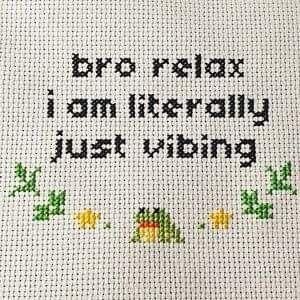 a cross stitch pattern with the words bro relax i am literally just hiding on it