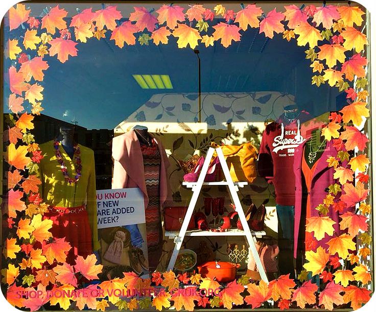 a window display with fall leaves and clothes