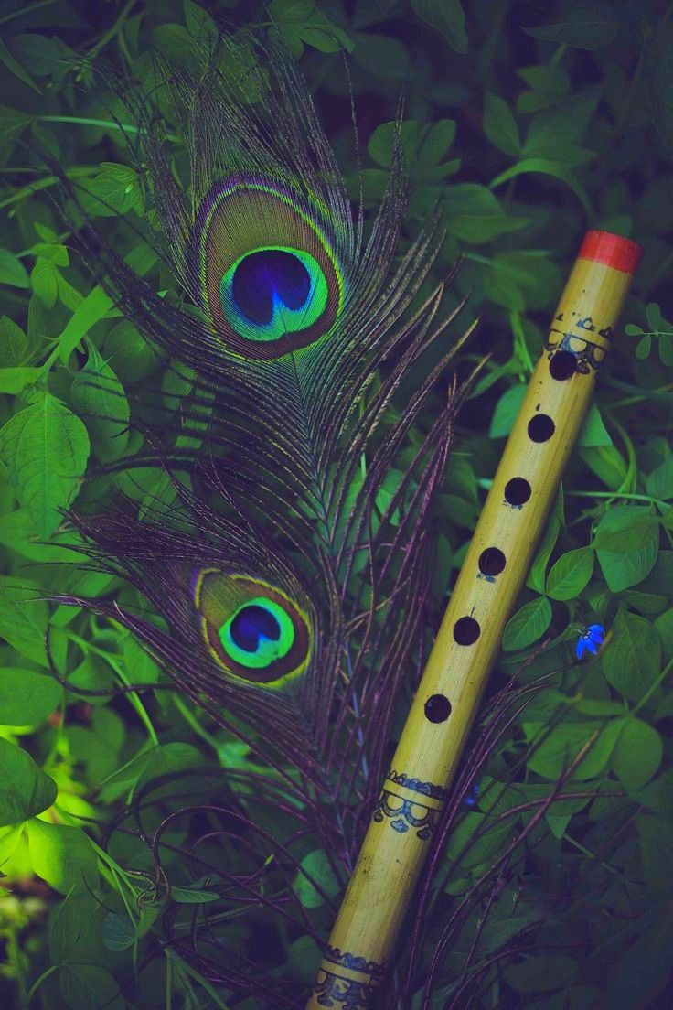 two peacock feathers sitting next to a flute on top of green grass with leaves in the background