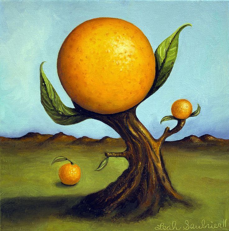 an orange tree with two oranges growing out of it