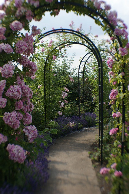 an arch in the middle of a garden filled with pink and purple flowers on either side of it