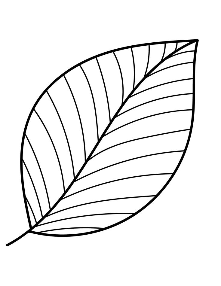 a black and white drawing of a leaf