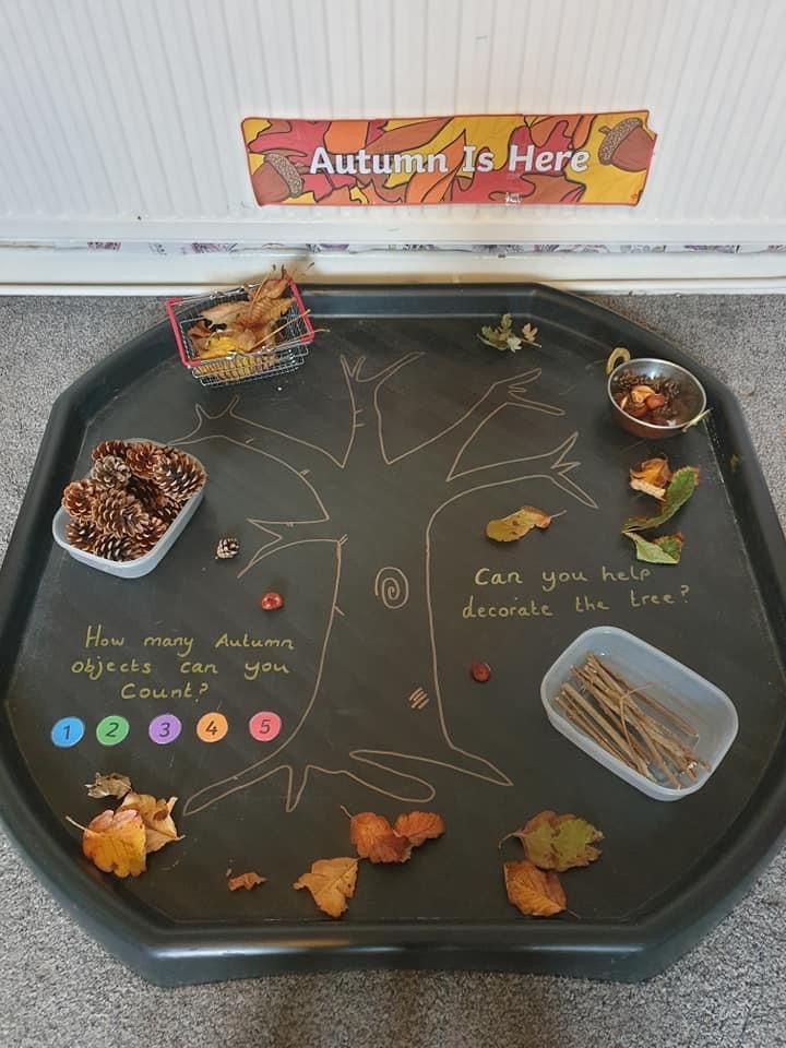 a black tray topped with lots of leaves and other things on top of the tray