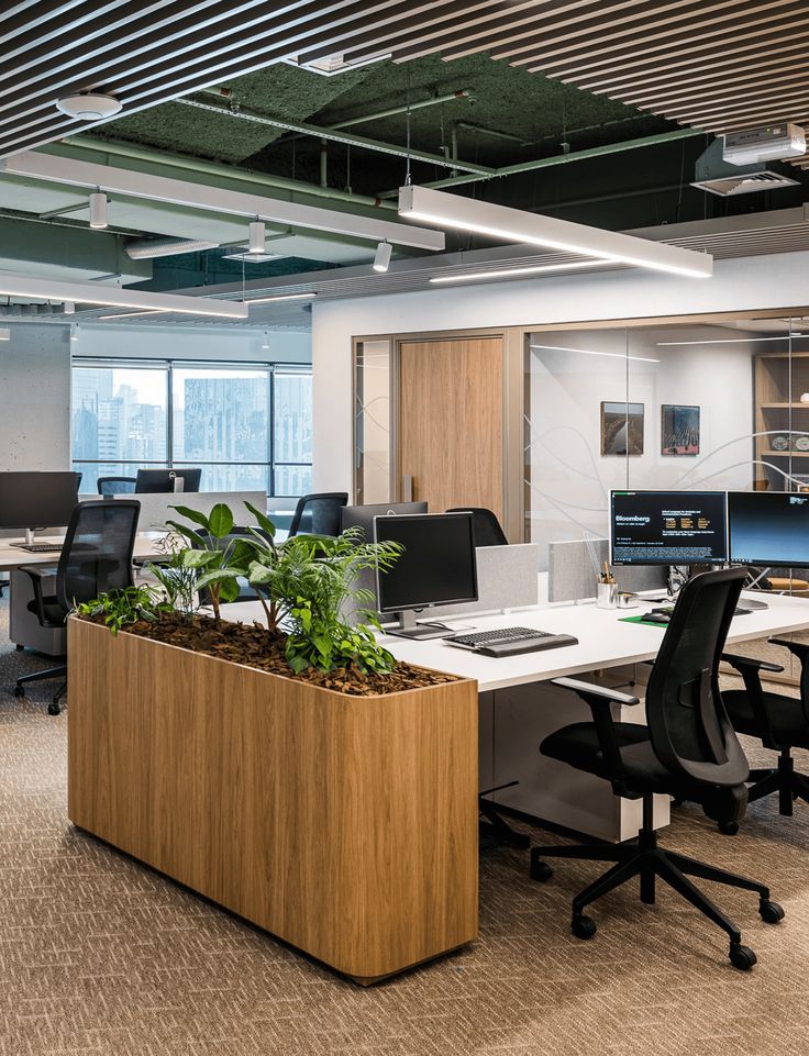 an office cubicle with desks and plants in the planter on the table