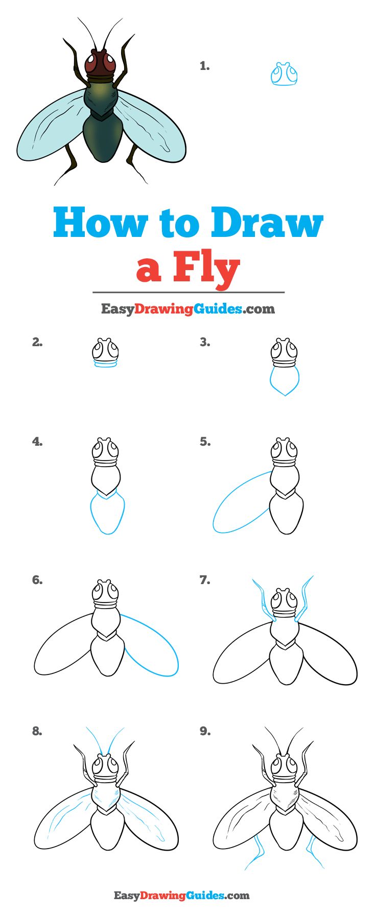 how to draw a fly for kids