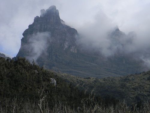 the mountains are covered in thick clouds and low lying vegetation, with trees on either side