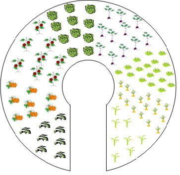 an illustrated circle with trees and plants in the center, surrounded by smaller circles that appear to be cut out from each other