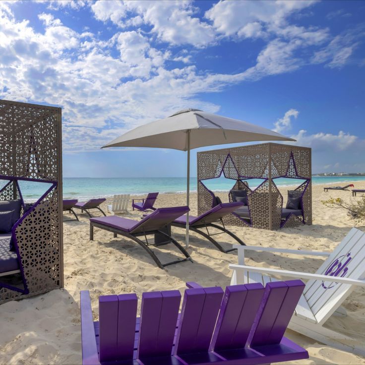 purple lounge chairs and umbrellas on the beach