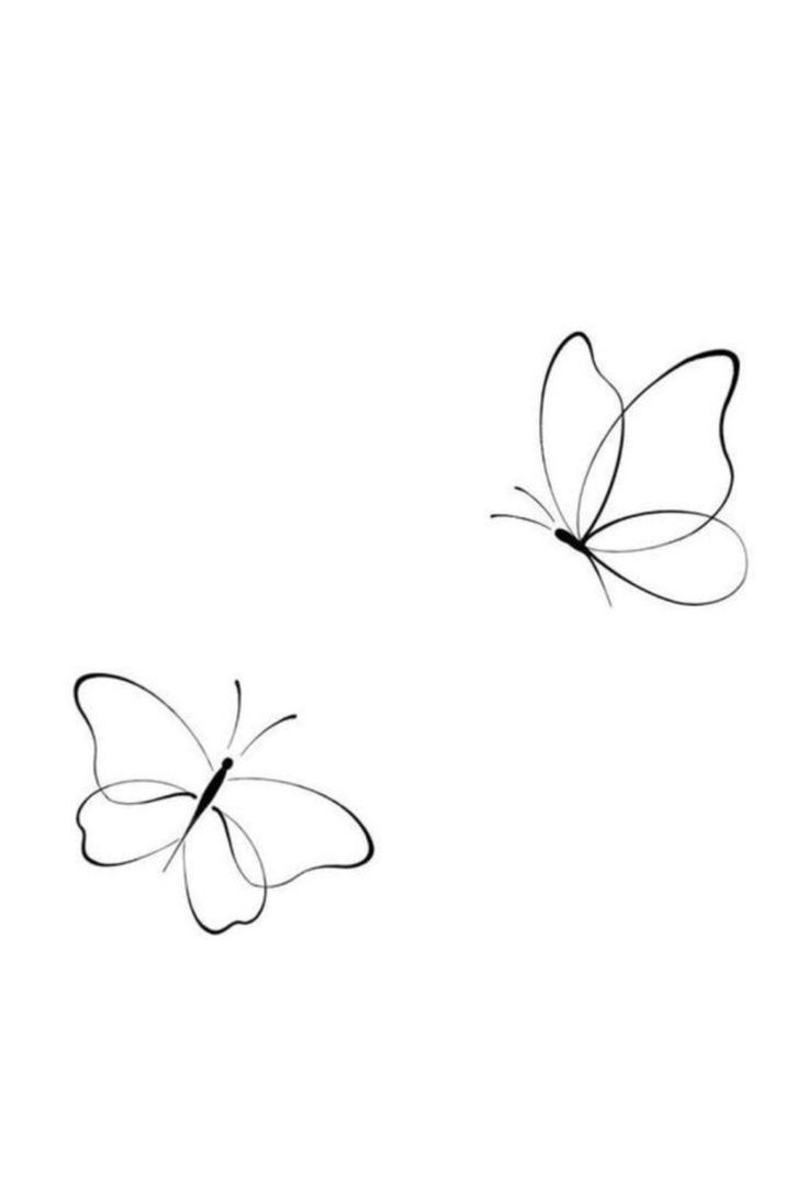 two black and white butterflies flying in the sky