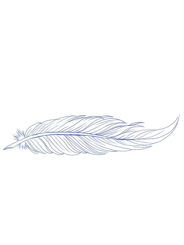 a drawing of a feather on a white background