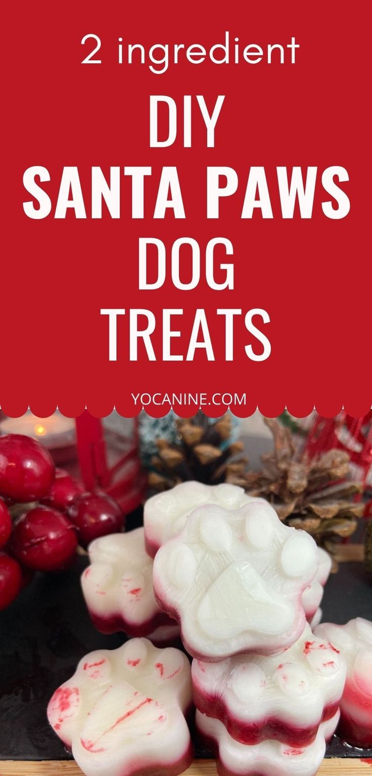 two ingredient diy santa paws dog treats