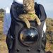 yourcatbackpack