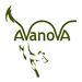 avanovadesign