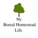 myborealhomesteadlife