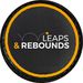 Leapsandrebounds