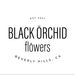 blackorchidflowers