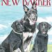 thenewbarkermag