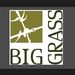 biggrassliving