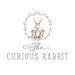 thecuriousrabbit