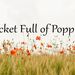 pocketfullofpoppies4