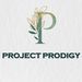 projectprodigy04