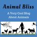 AnimalBlissBlog