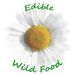 ediblewildfood