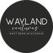 WaylandVentures